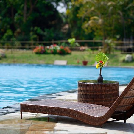 Jungle Villa Resort - Near Chitwan National Park 外观 照片